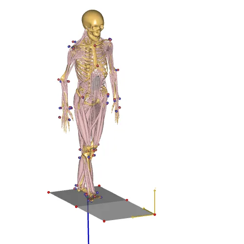 ADL Gait (beta)