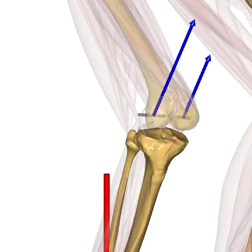 Simpel Knee force estimation