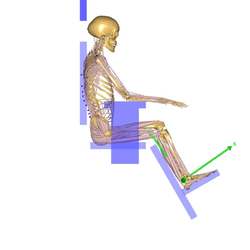 Seated Human