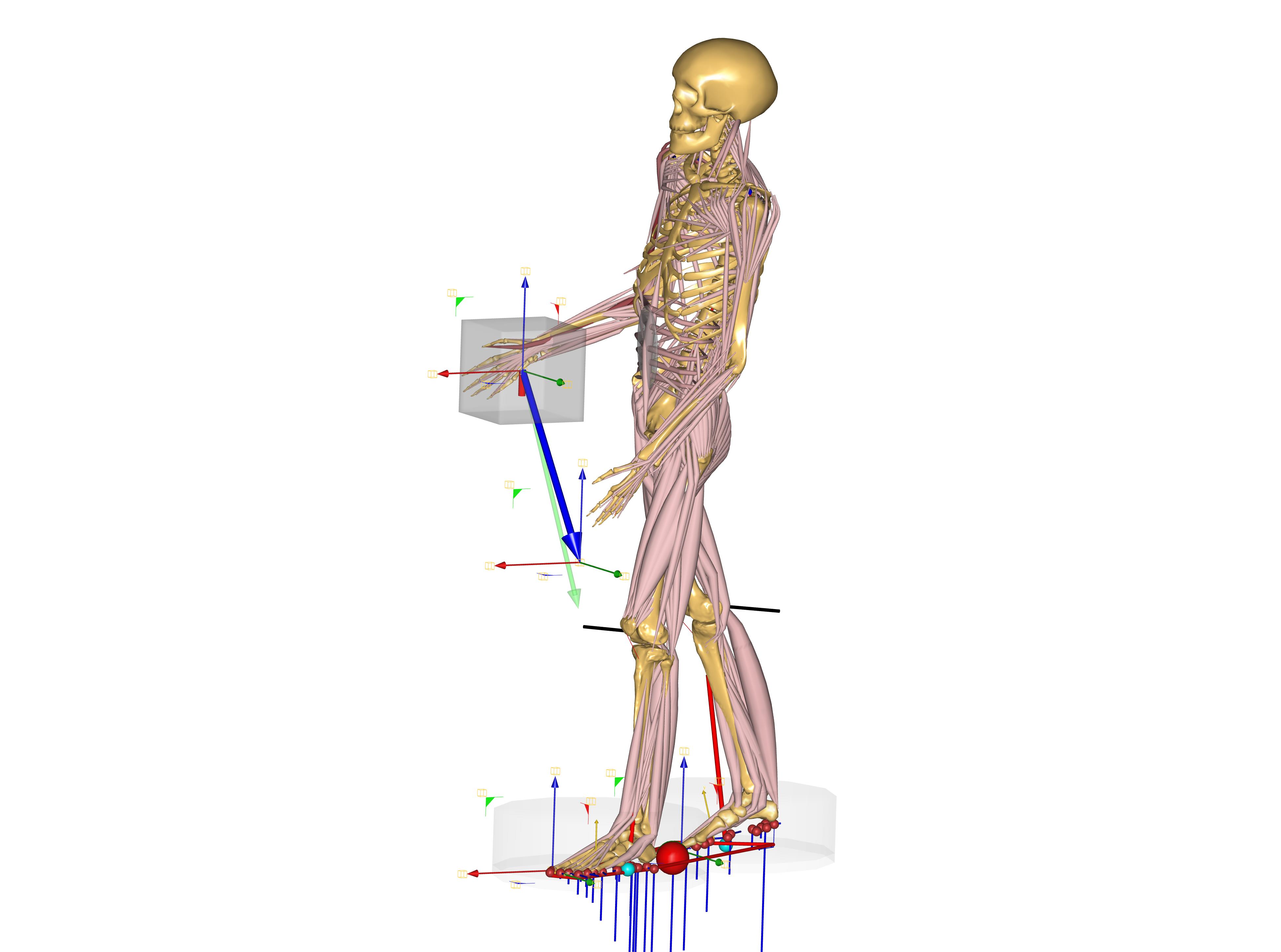 ../../_images/StandingPosturePredictionModel_Onearm.jpg