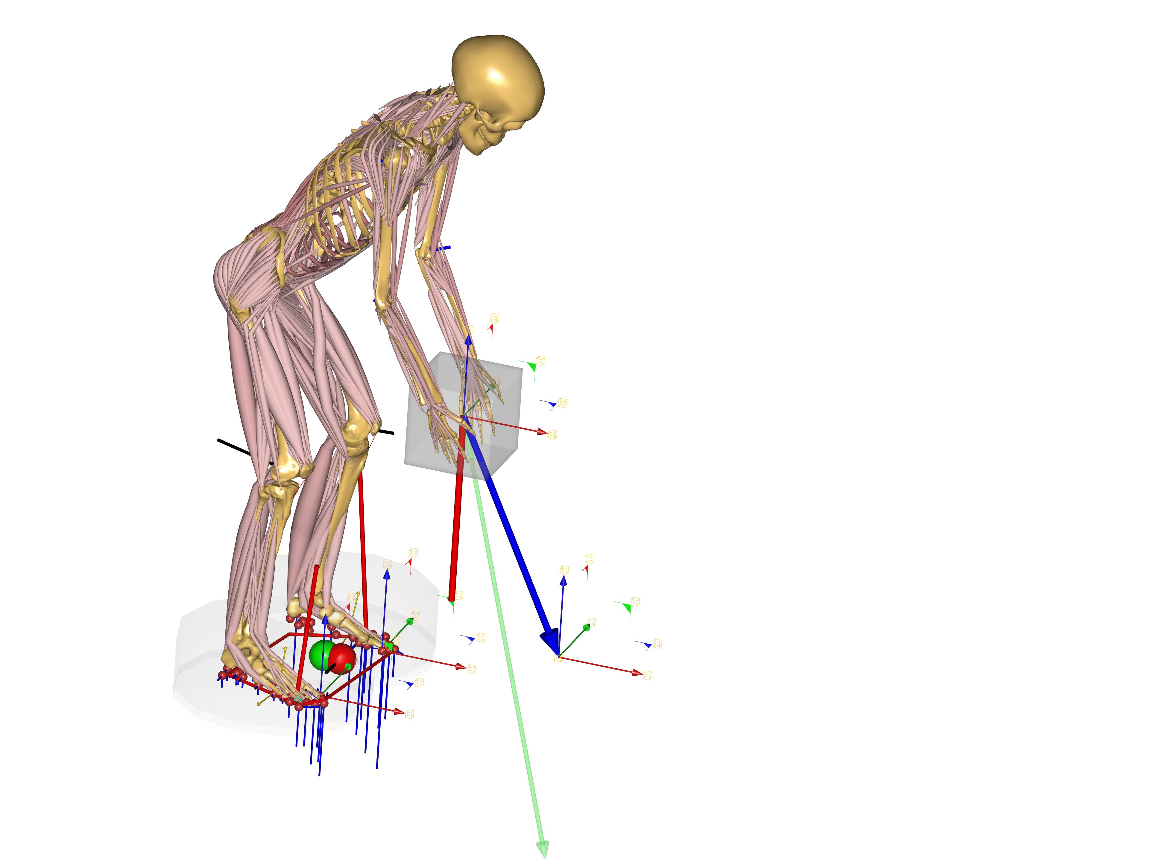 ../../_images/StandingPosturePredictionModel_PickupBox.jpg