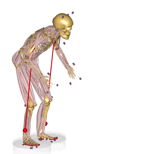 Exoskeleton concept model