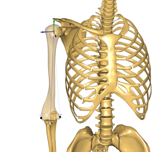 Humerus anatomical frame
