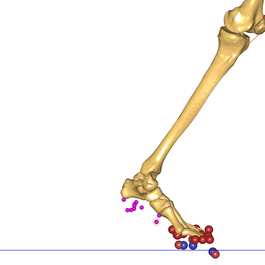 BVH driven model with Toe Flexion