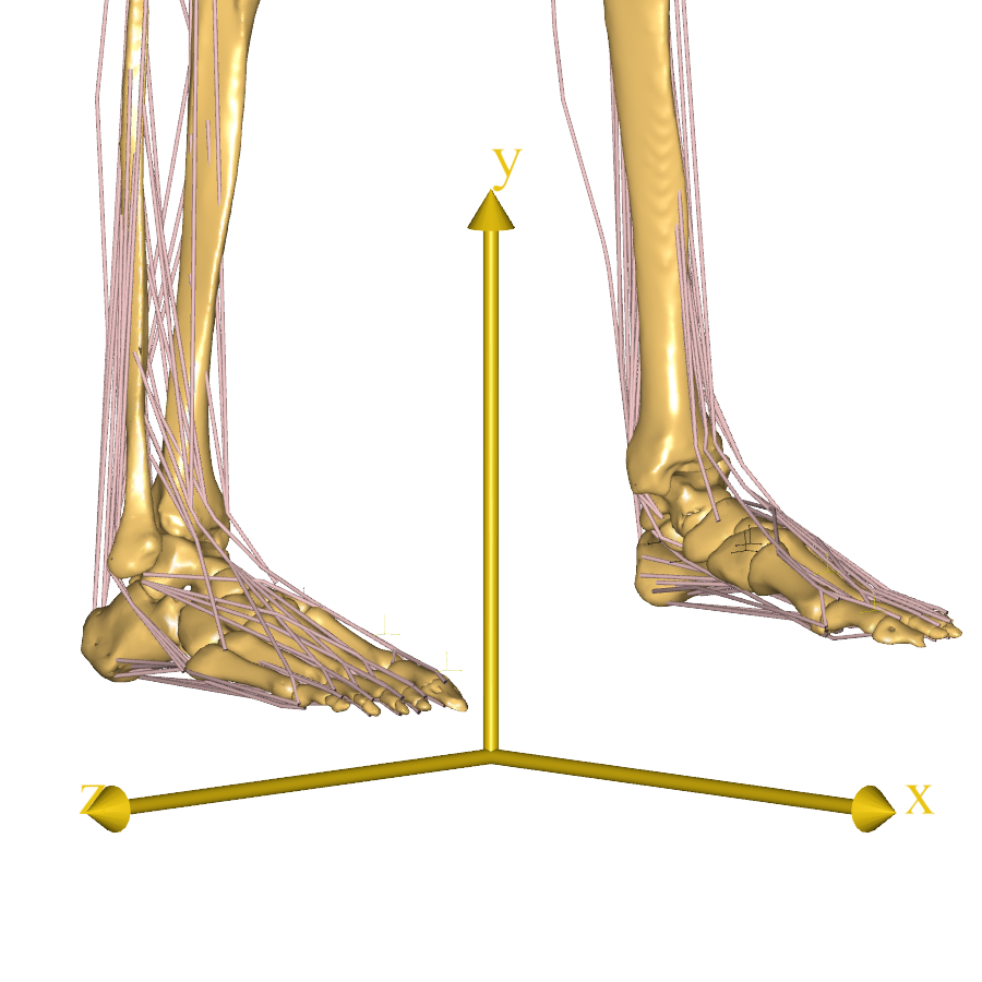 Free posture with GM Foot