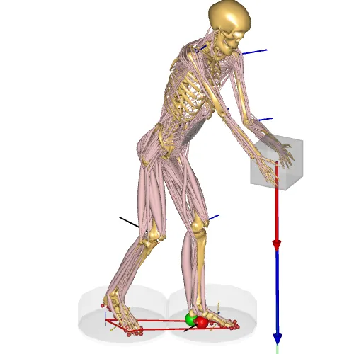 Posture Prediction Model