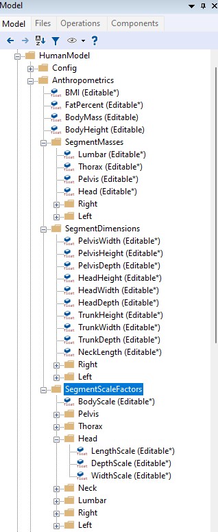 XYZ segment dimensions