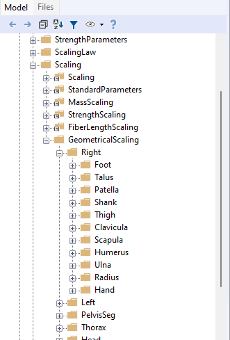 Scaling options in model tree