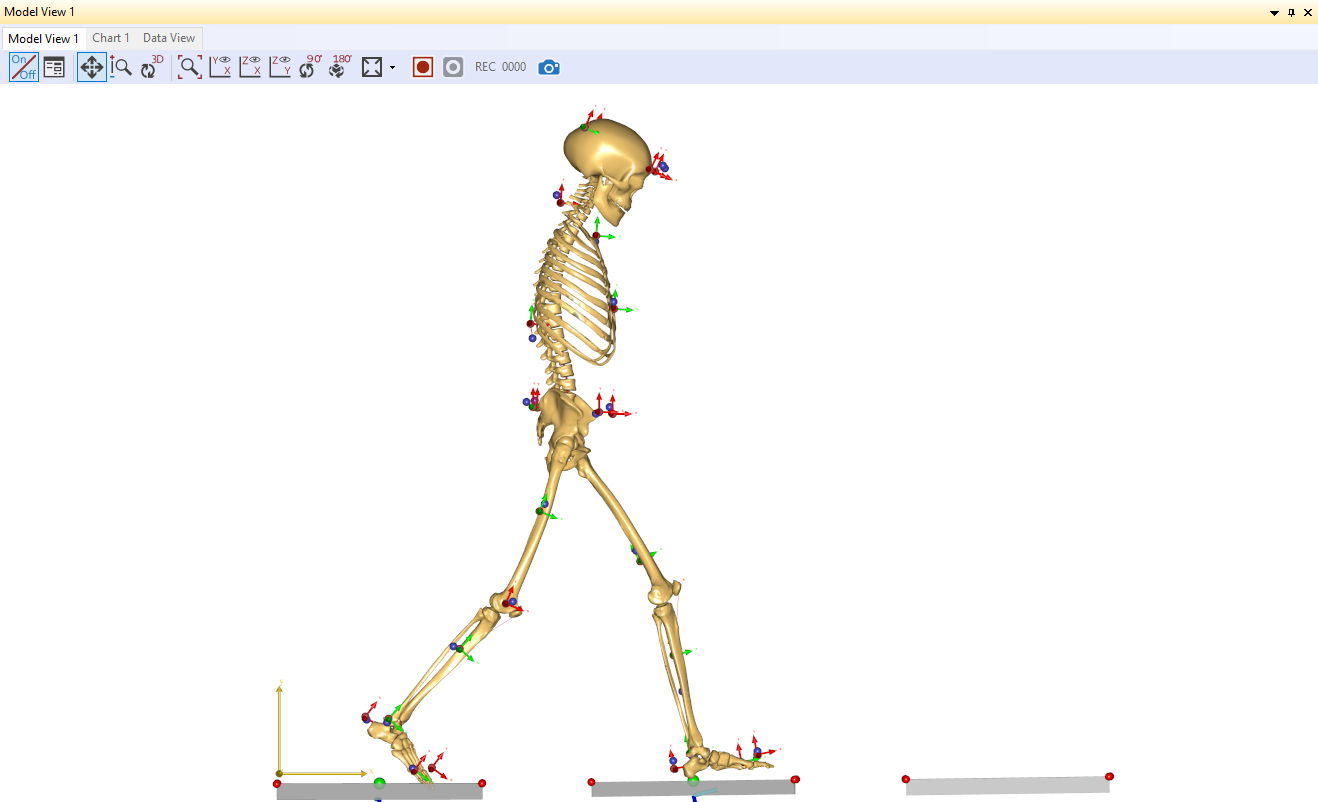 Model view, marker tracking