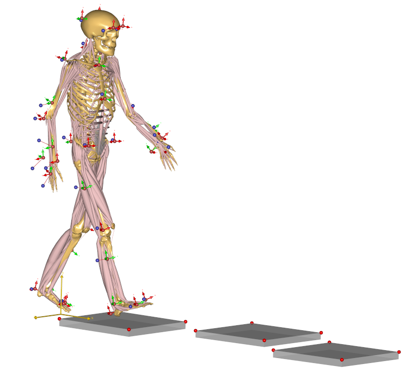 Model view Fullbody initial load